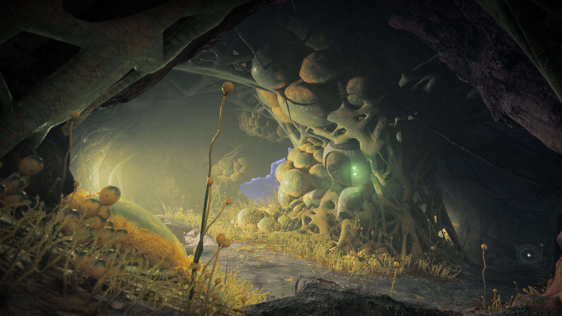 Destiny 2: The Edge of Fate screenshot 3