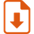 PDF icon